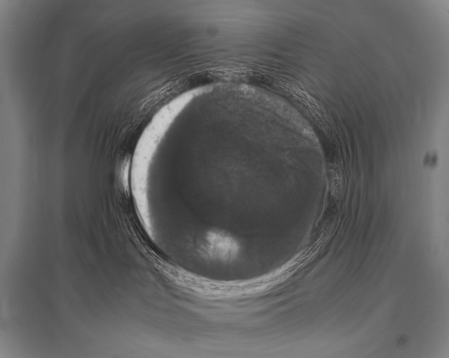X0000094820047200712141654