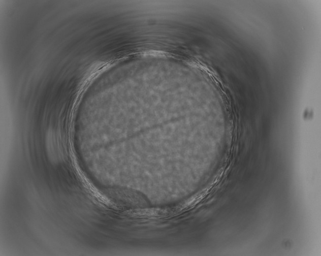 X0000094820049200712141654