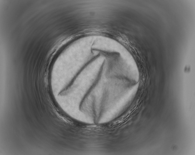 X0000094820050200712141654