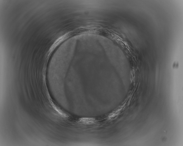 X0000094820051200712141654