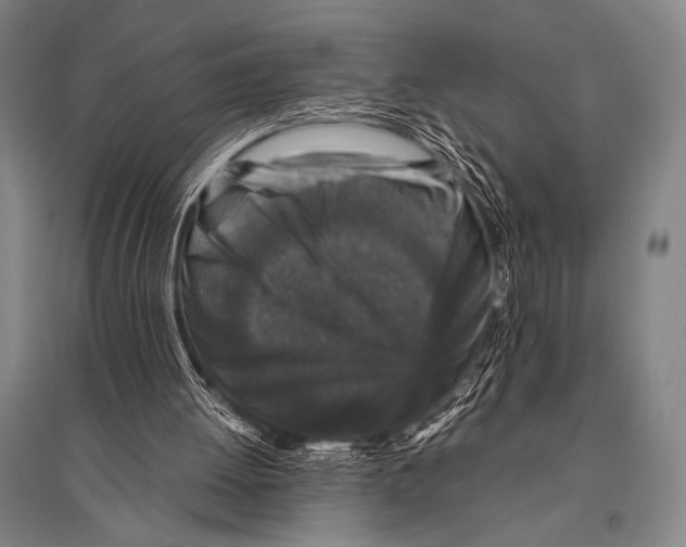 X0000094820052200712141654