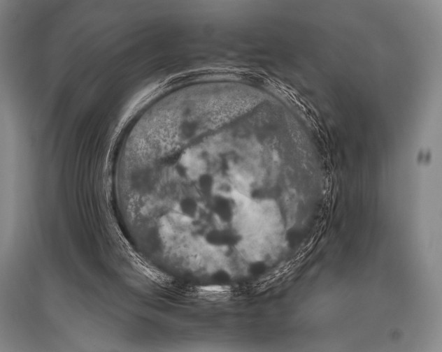 X0000094820053200712141654