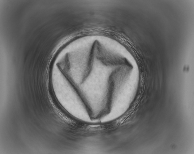 X0000094820054200712141654