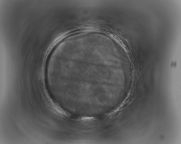 X0000094820055200712141654