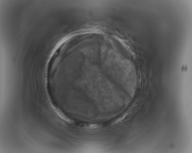 X0000094820056200712141654