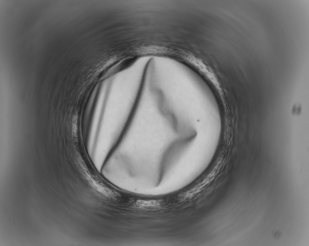 X0000094820057200712141654