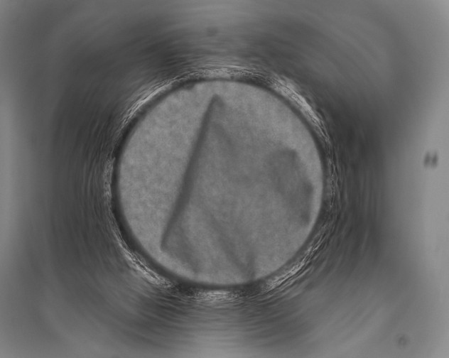 X0000094820058200712141654