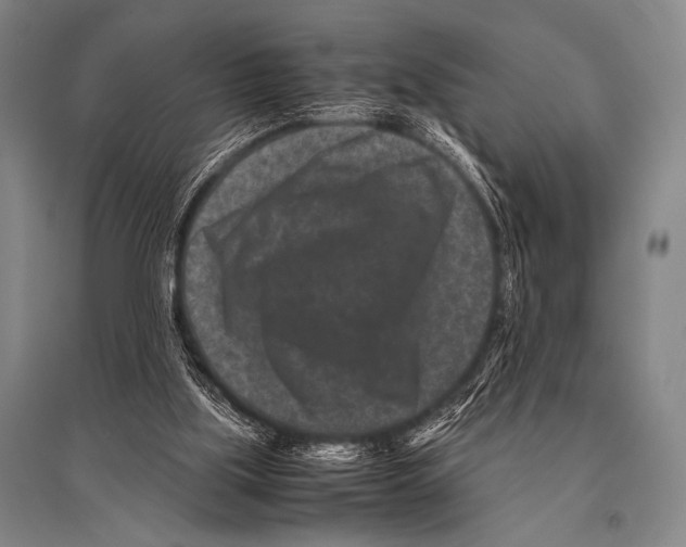 X0000094820059200712141654