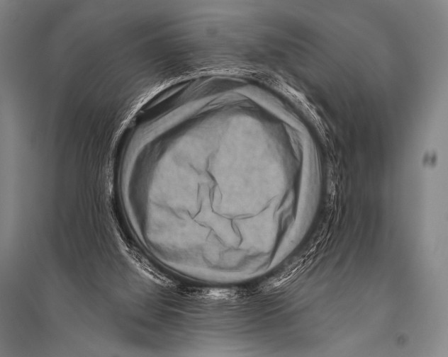 X0000094820060200712141654
