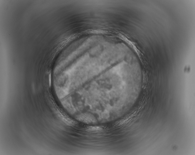 X0000094820061200712141654