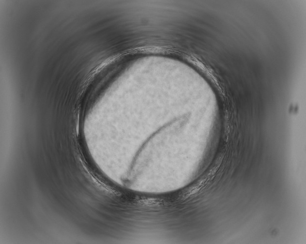 X0000094820062200712141654