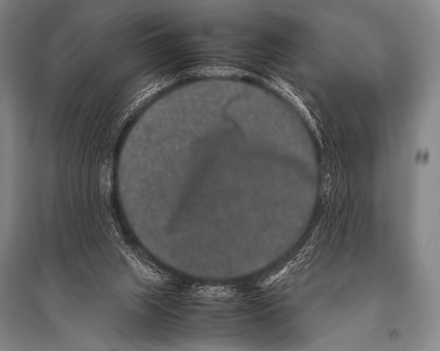 X0000094820063200712141654