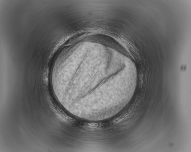X0000094820064200712141654