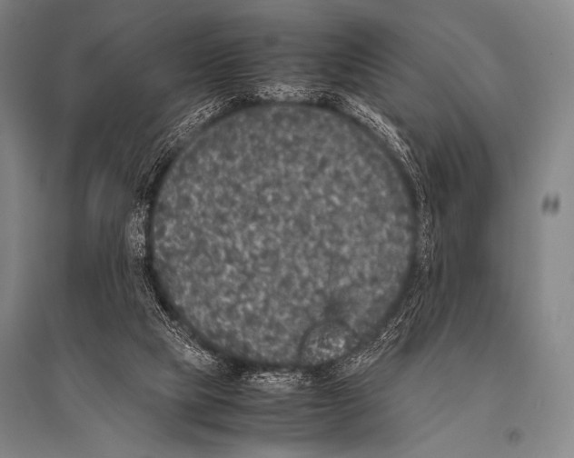 X0000094820065200712141654