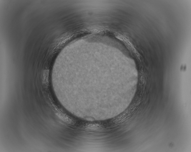 X0000094820066200712141654