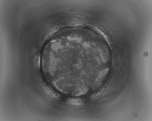 X0000094820067200712141654