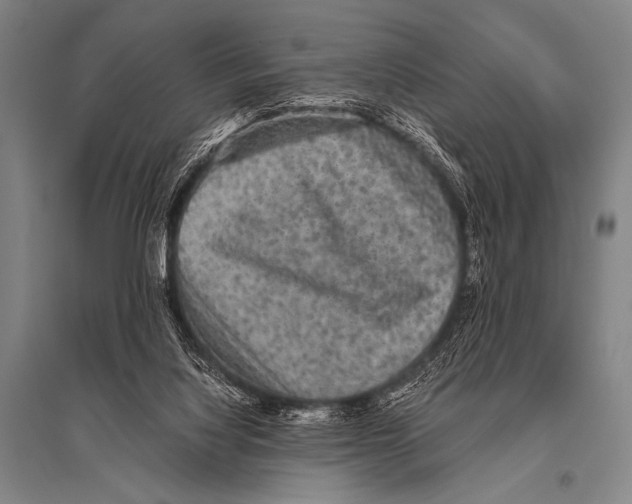 X0000094820068200712141654