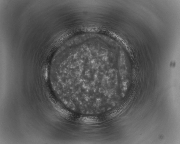X0000094820069200712141654