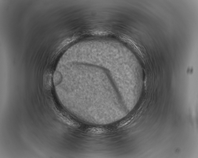 X0000094820071200712141654
