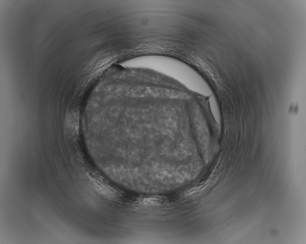 X0000094820072200712141654