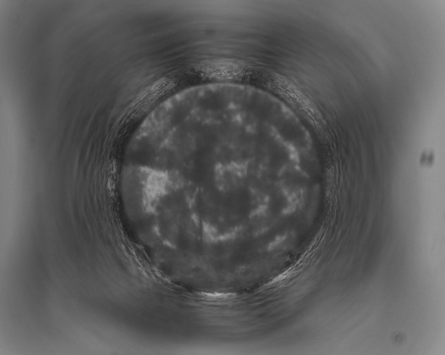 X0000094820073200712141654