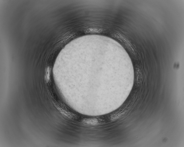 X0000094820075200712141654