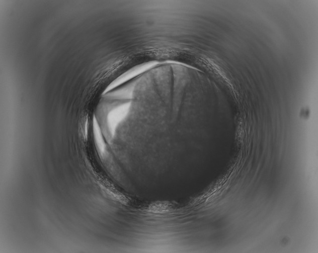 X0000094820076200712141654