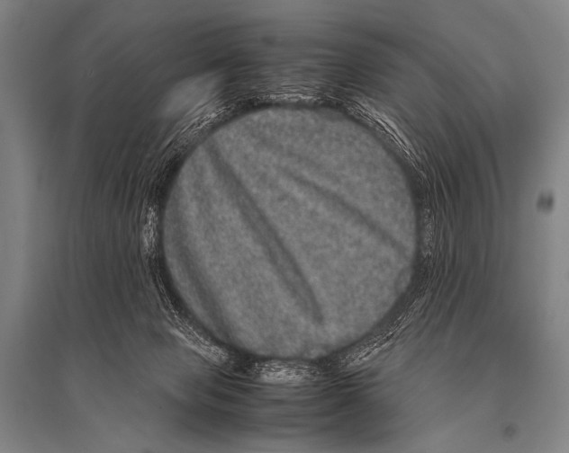 X0000094820077200712141654