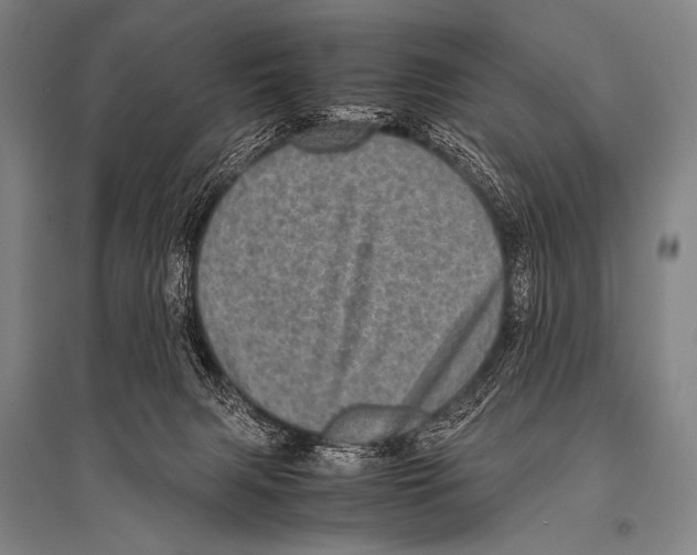 X0000094820079200712141654