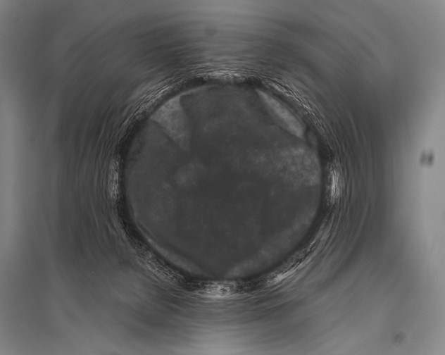X0000094820080200712141654