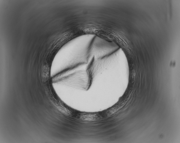 X0000094820081200712141654