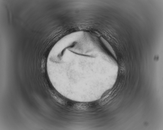 X0000094820082200712141654
