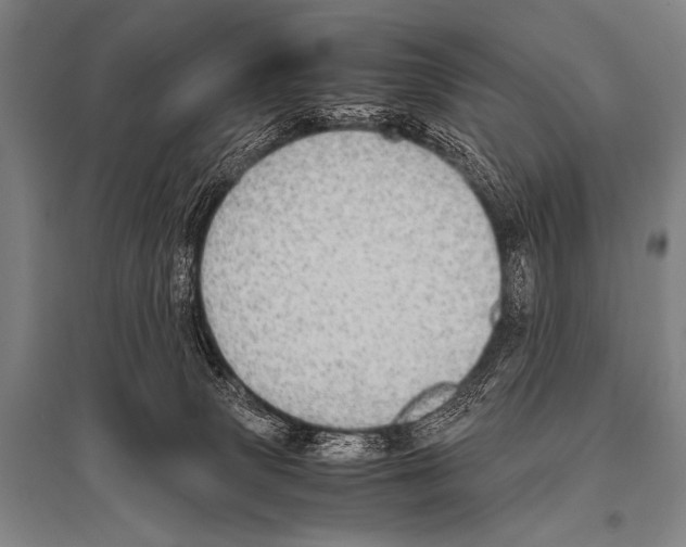 X0000094820083200712141654