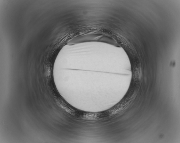 X0000094820084200712141654