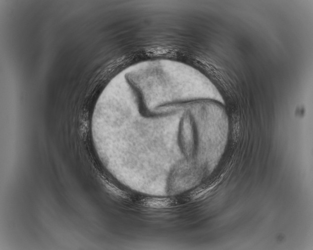 X0000094820085200712141654