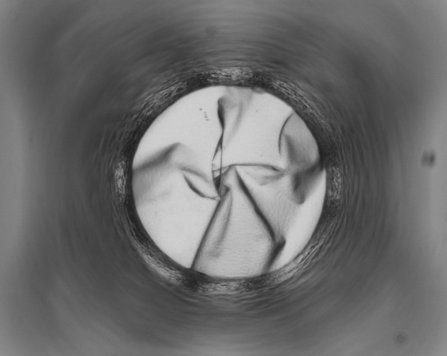 X0000094820086200712141654