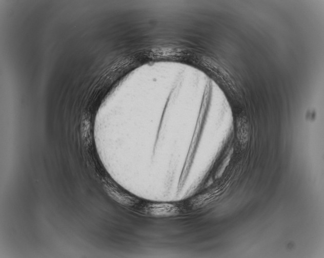 X0000094820087200712141654