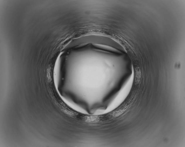 X0000094820088200712141654