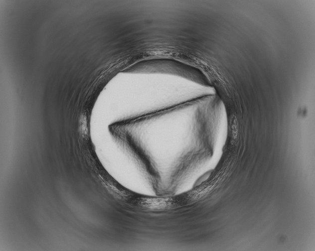 X0000094820089200712141654