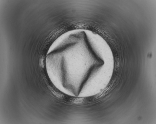 X0000094820090200712141654