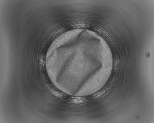 X0000094820091200712141654