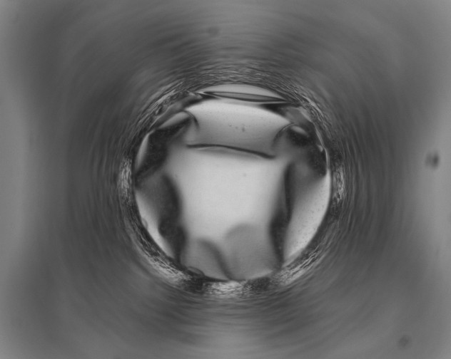 X0000094820092200712141654