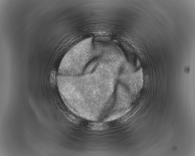 X0000094820093200712141654