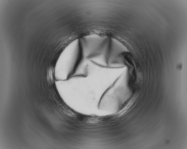 X0000094820094200712141654