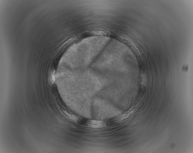 X0000094820095200712141654