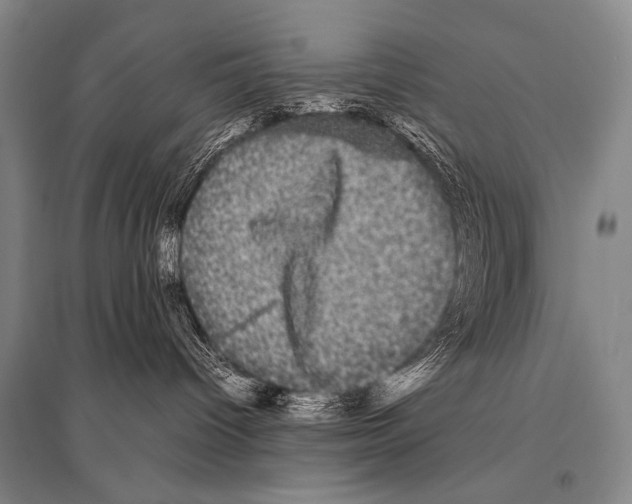 X0000094820096200712141654