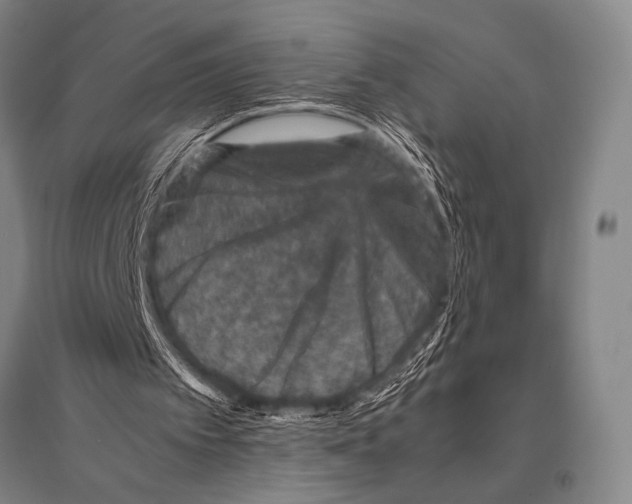 X0000094820097200712141654