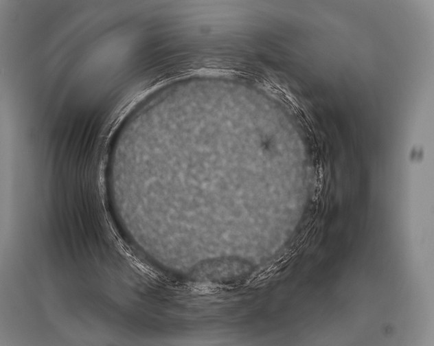 X0000094820098200712141654