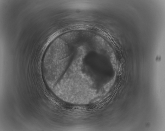 X0000094820099200712141654