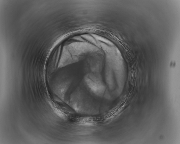 X0000094820100200712141654